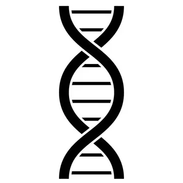 Genus