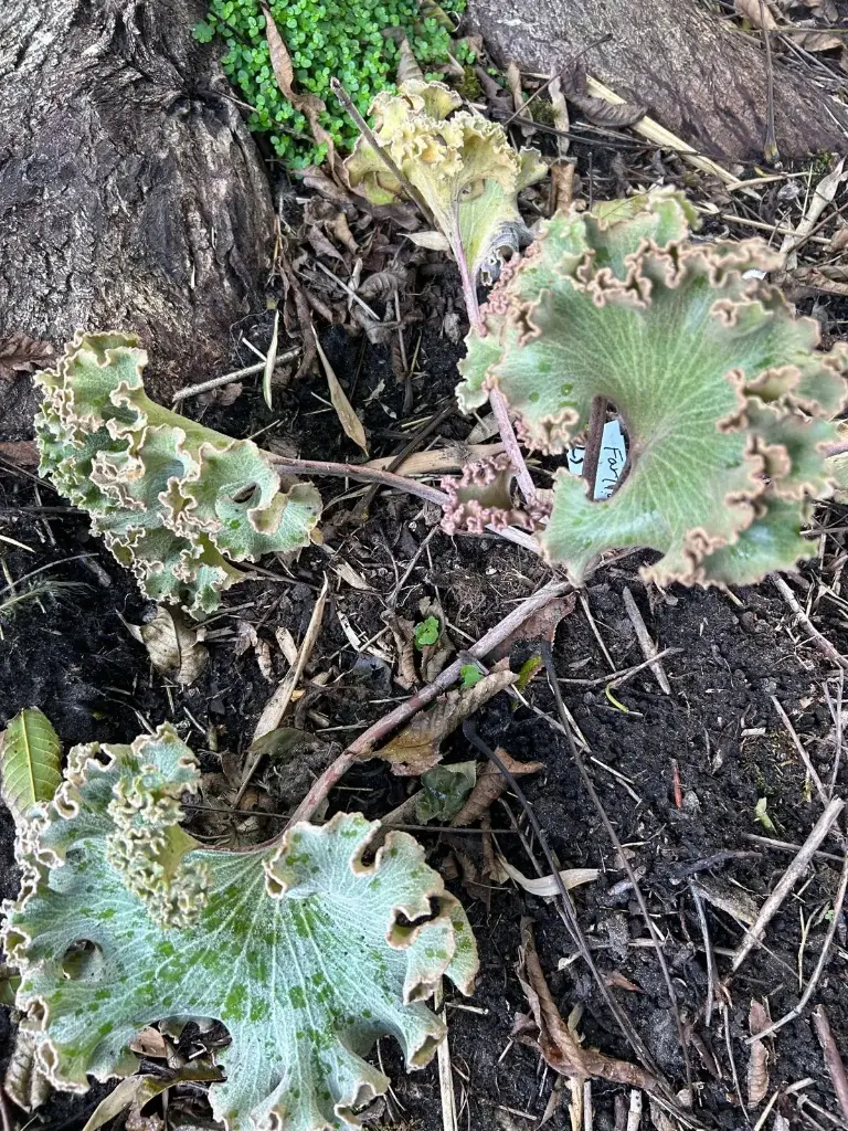 WhatsApp Image 2025-09-24 at 14.46.23.webp