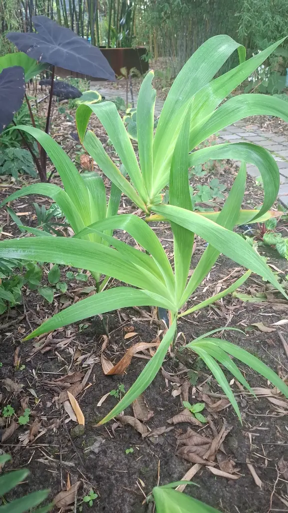 WhatsApp Image 2025-09-26 at 10.51.21.webp