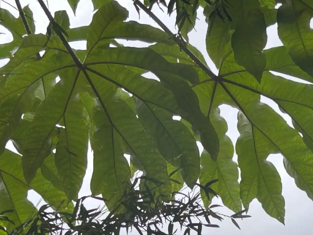 WhatsApp Image 2025-10-04 at 10.26.25 (1).webp