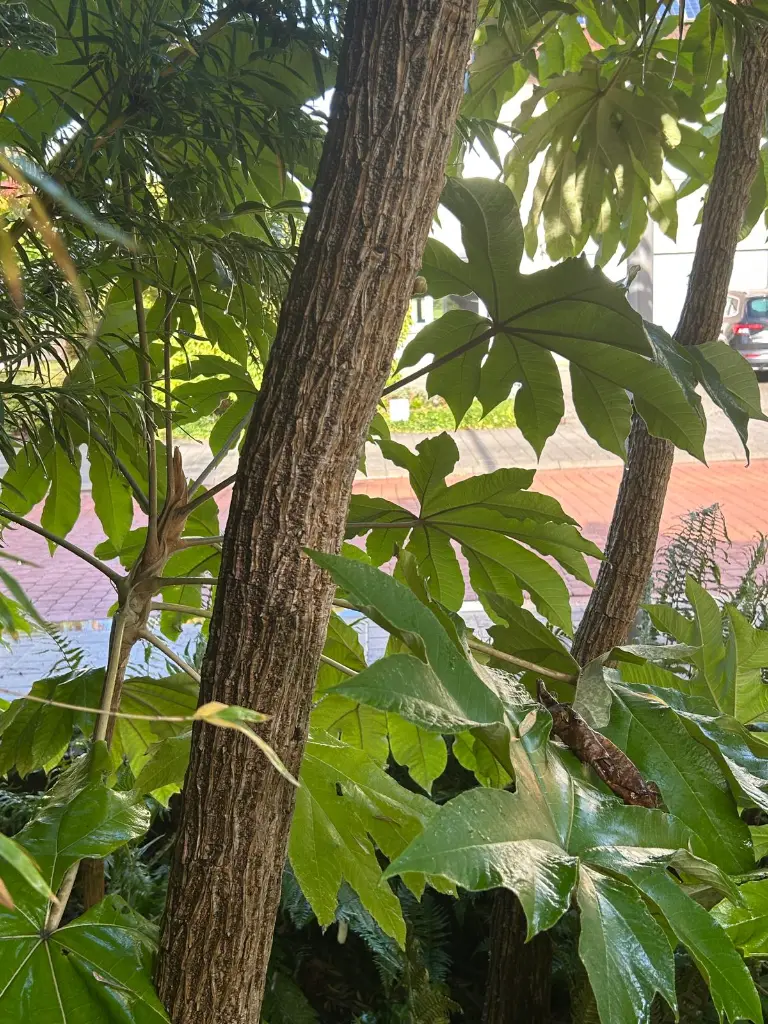 WhatsApp Image 2025-10-04 at 11.44.03 (4).webp