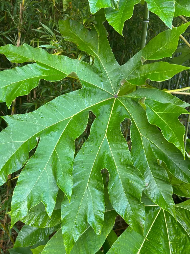 WhatsApp Image 2025-10-04 at 11.44.03 (2).webp