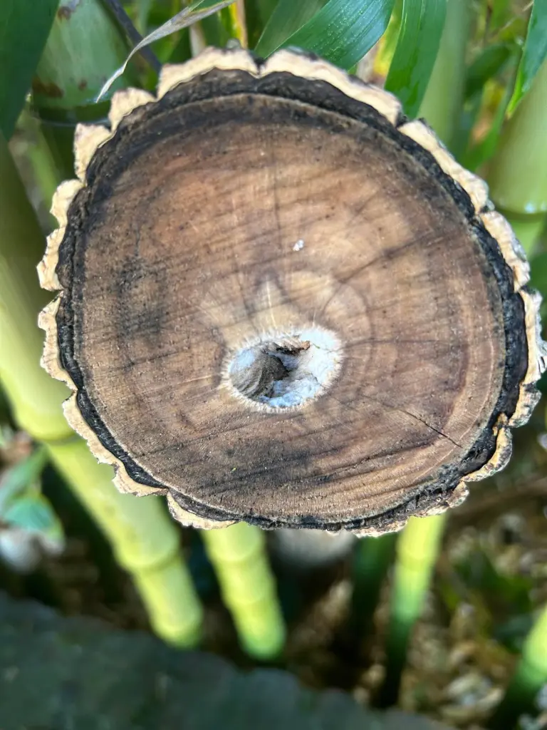 WhatsApp Image 2025-10-04 at 11.44.03 (5).webp