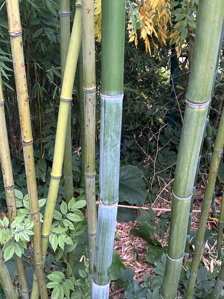 WhatsApp Image 2025-10-07 at 09.30.16 (11).webp