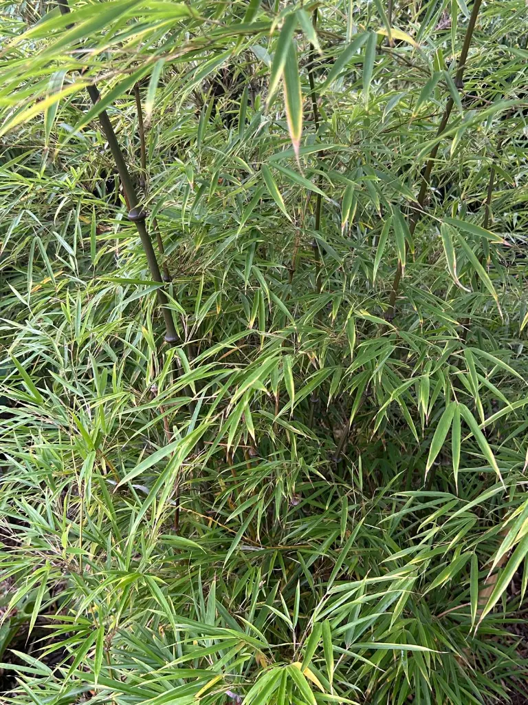 WhatsApp Image 2025-10-07 at 09.30.16 (19).webp