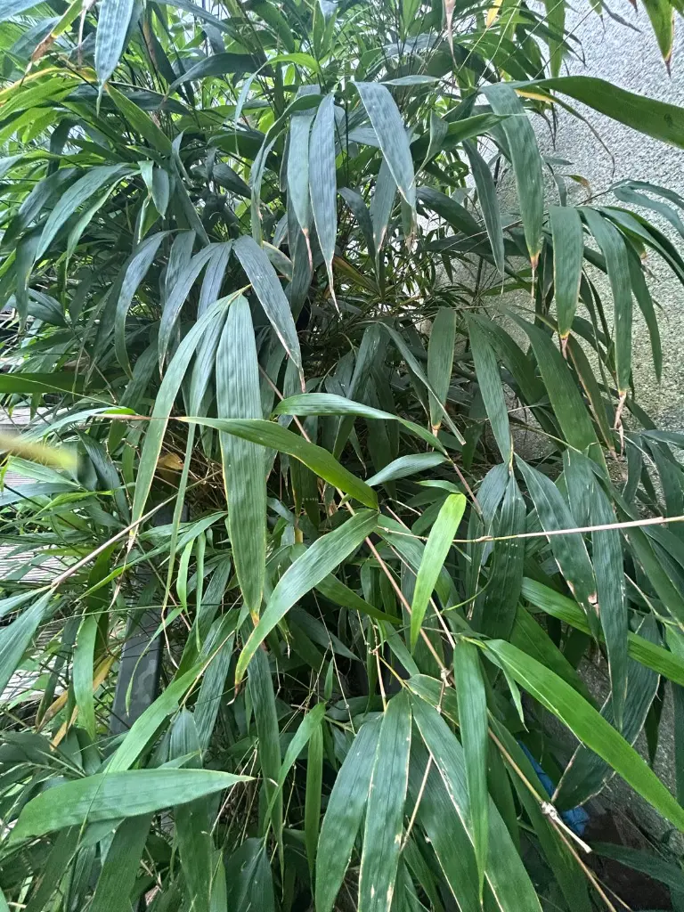 WhatsApp Image 2025-10-07 at 11.25.42.webp