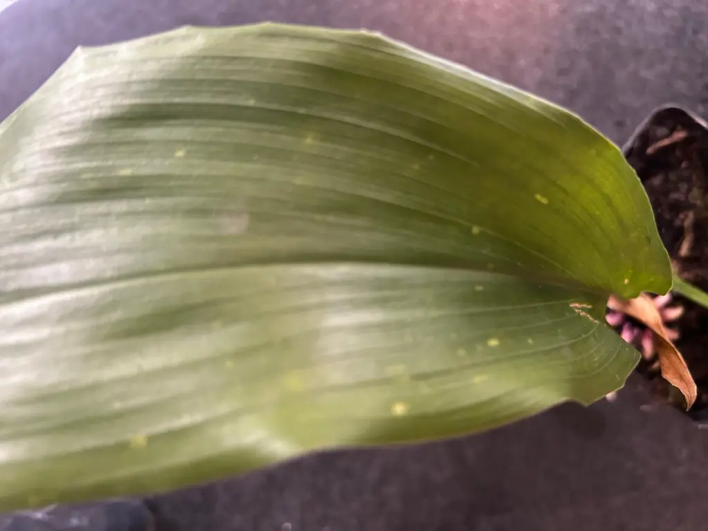 WhatsApp Image 2025-11-05 at 10.08.12 (2).webp