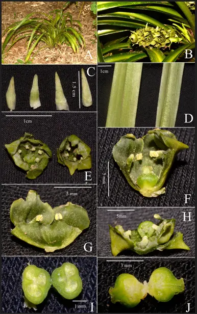 Schermafbeelding 2025-11-11 163116.webp