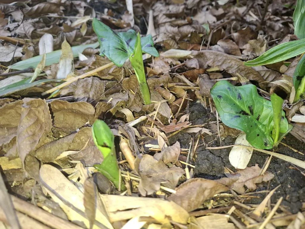 WhatsApp Image 2026-02-01 at 14.06.42 (2).webp