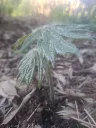 20260303051200.webp