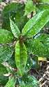 B108.webp