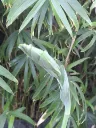 20260415094413.webp