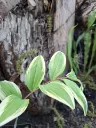 20260426020106.webp