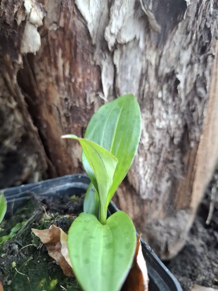 20260426072224.webp