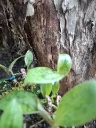 20260426072335.webp