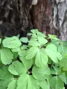 20260426073017.webp