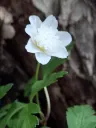 20260426073145.webp