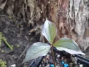 20260426073509.webp