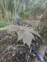 20260503055748.webp