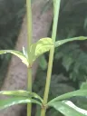 20260529104325.webp
