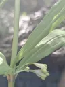 20260529104311.webp