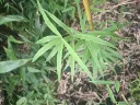 20260530083445.webp