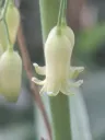 20260530083424.webp