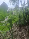 20260615061946.webp