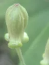 20260620124402.webp