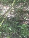 20260620124814.webp