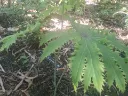 20260620124733.webp