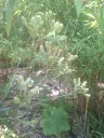 20260620125318.webp