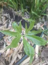 20260620125633.webp