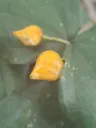 20260714023110.webp